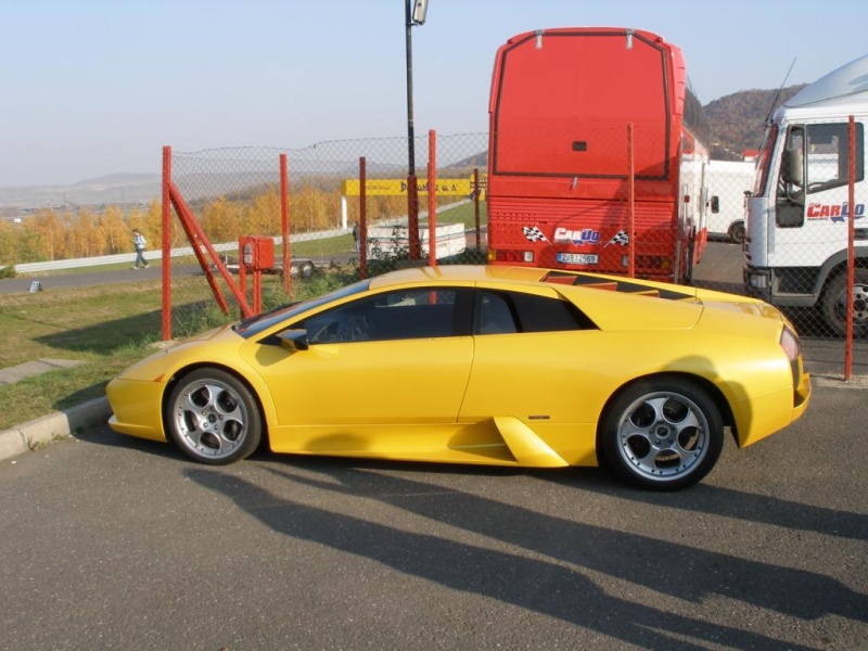 'Lamborghini