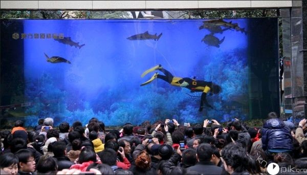 В китайском торговом центре лопнул гигантский аквариум